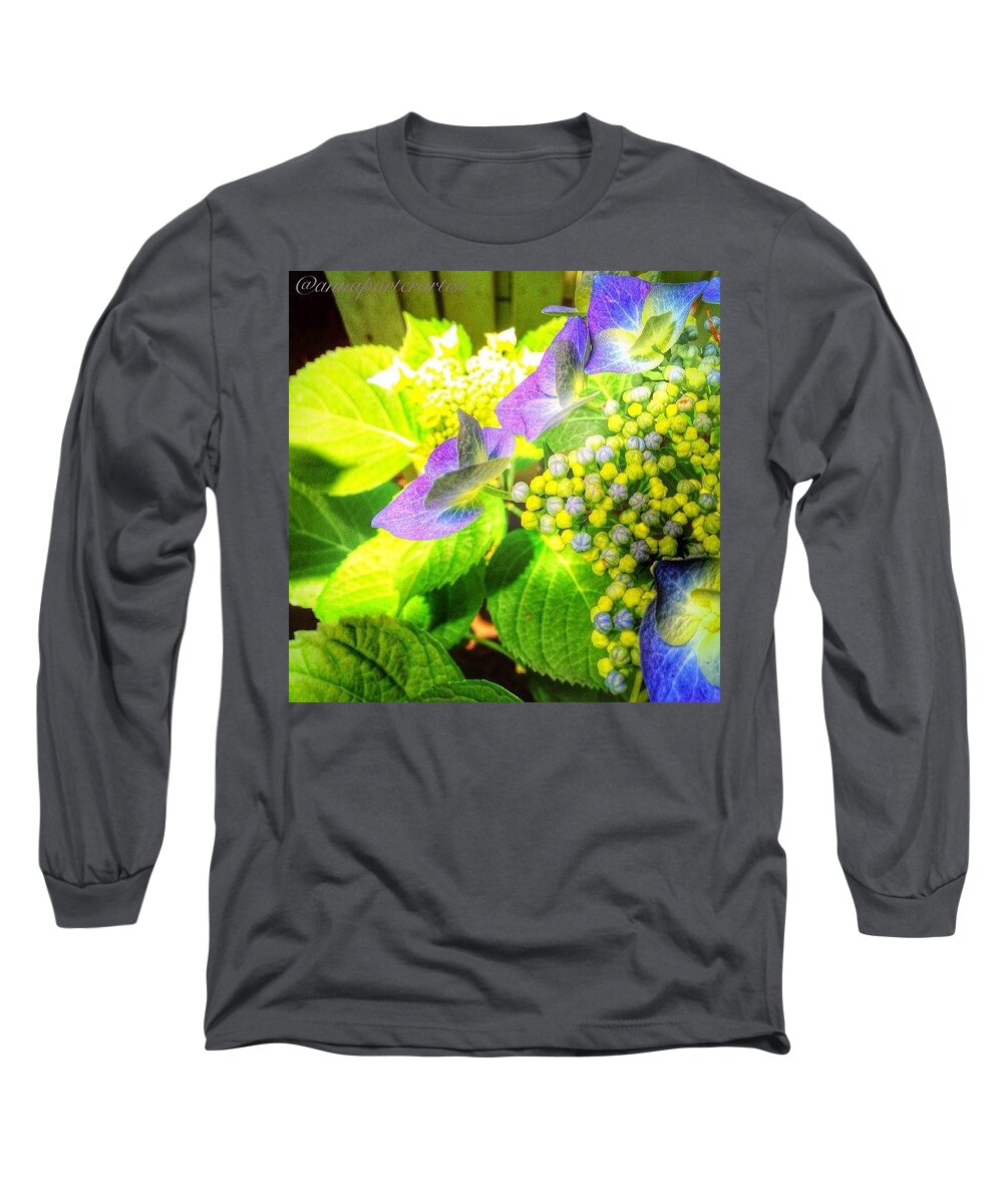 Jj_flowers Long Sleeve T-Shirt featuring the photograph Sunlight On Blue Hydrangea In My Summer by Anna Porter
