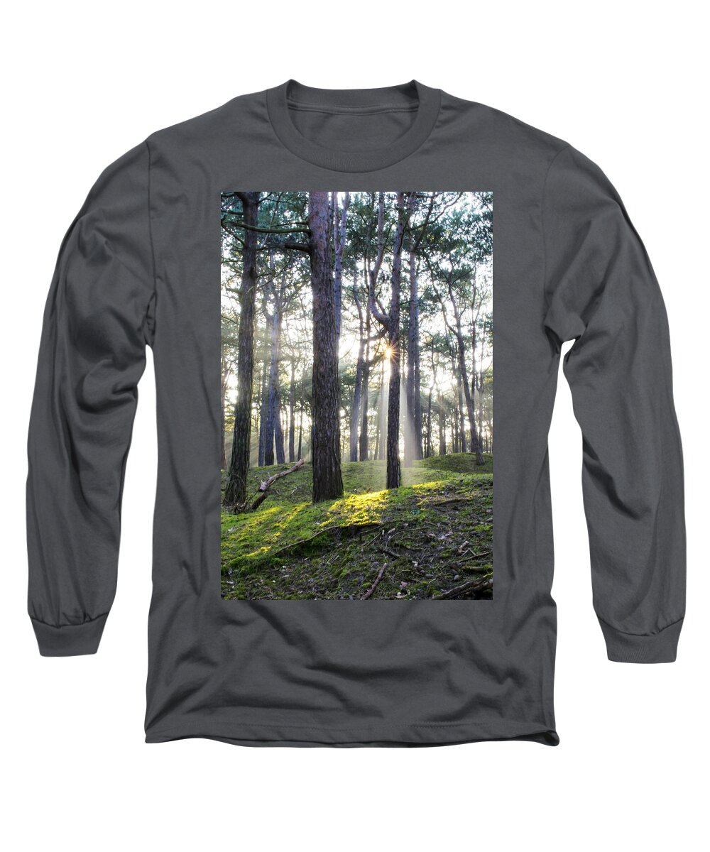 Trees Long Sleeve T-Shirt featuring the photograph Sunlit Trees by Spikey Mouse Photography