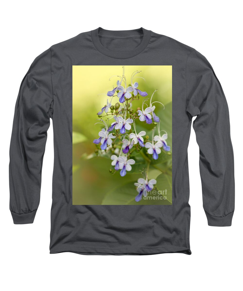 Amazing Long Sleeve T-Shirt featuring the photograph Sweet Butterfly Flowers by Sabrina L Ryan
