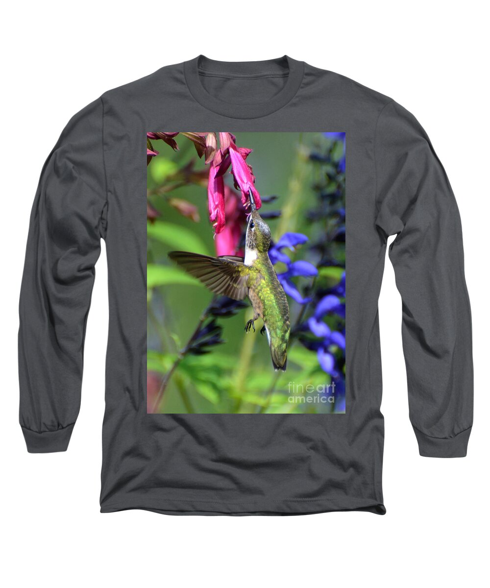 Birds Long Sleeve T-Shirt featuring the photograph Sweet Hummer by Kathy Baccari
