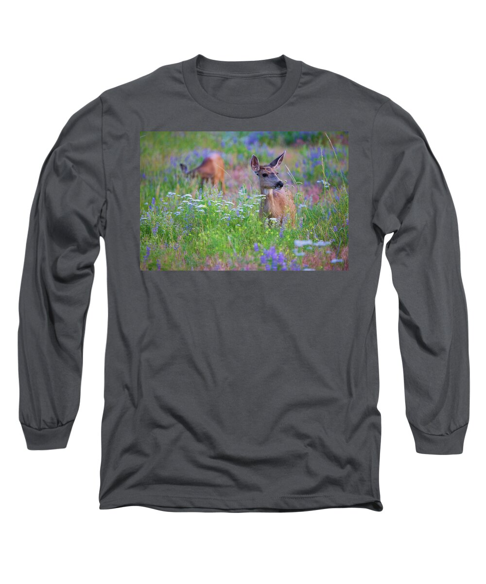 Deer Photograph Long Sleeve T-Shirt featuring the photograph Tea Party by Jim Garrison