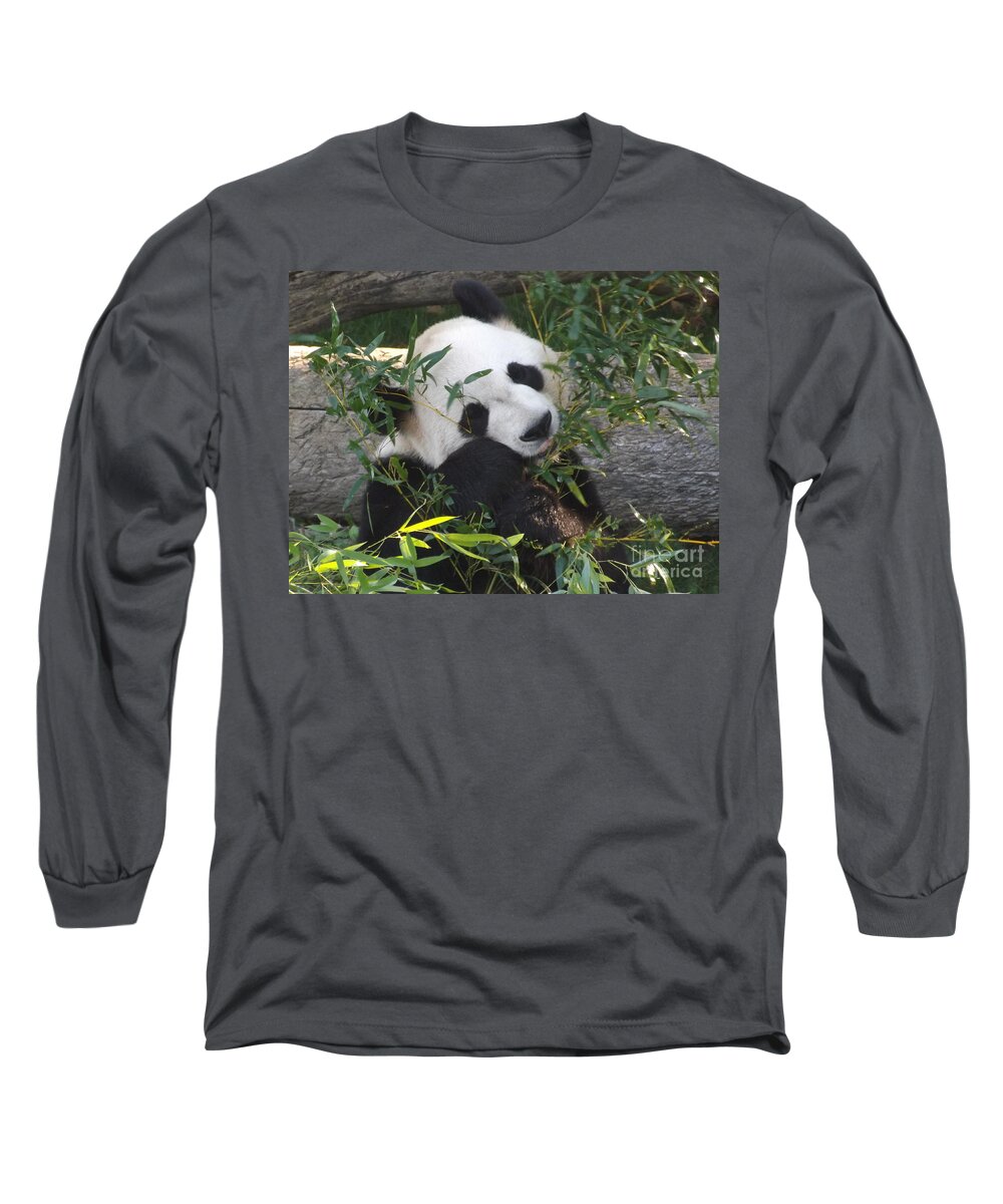Nature Panda Wild White Fur Animal Black Bear Asia Giant Wildlife China Reserve Long Sleeve T-Shirt featuring the photograph The Art of Posing at Breakfast by Lingfai Leung
