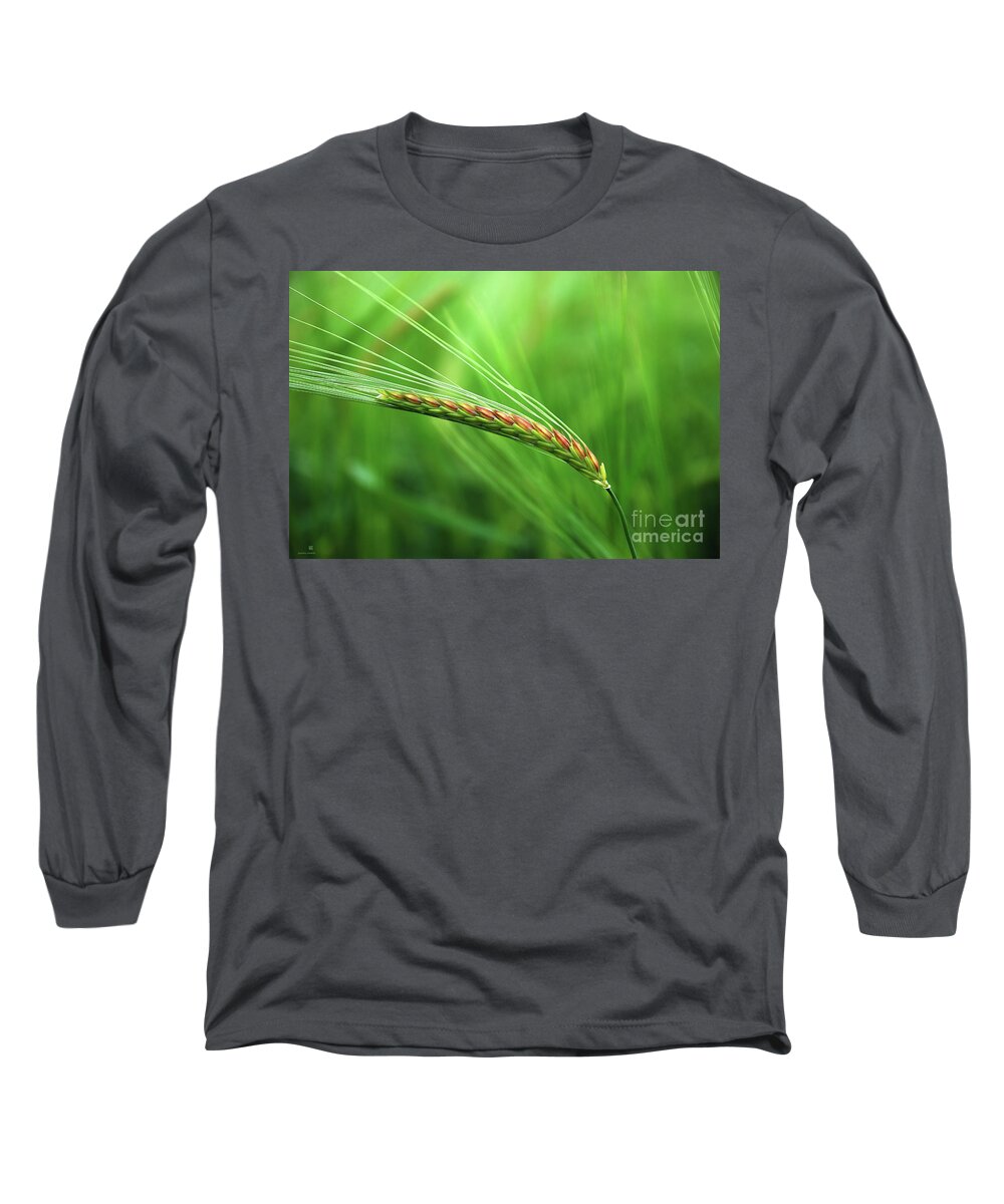 Corn Long Sleeve T-Shirt featuring the photograph The Corn by Hannes Cmarits
