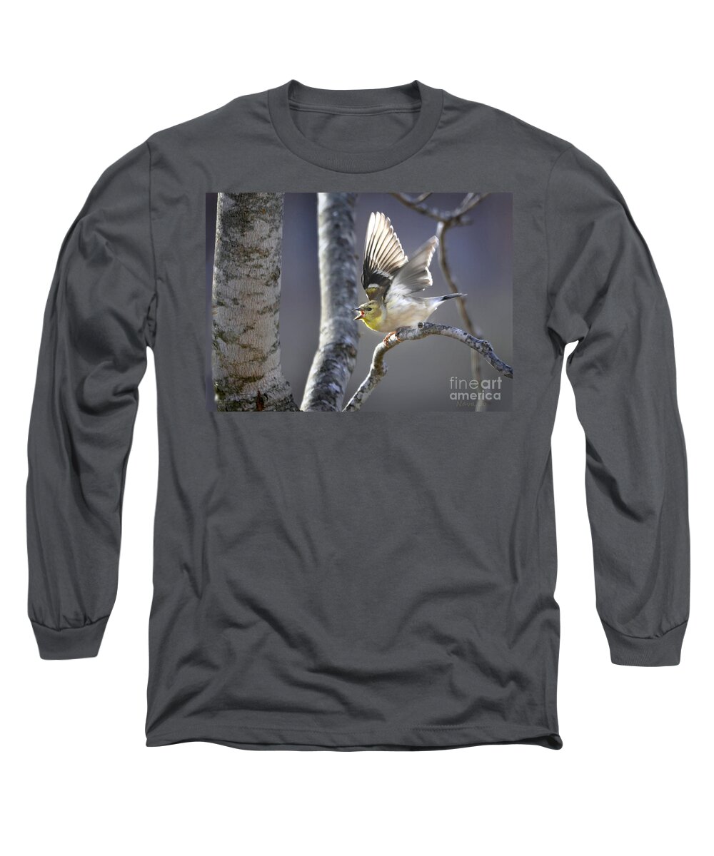 Nature Long Sleeve T-Shirt featuring the photograph The High Notes by Nava Thompson