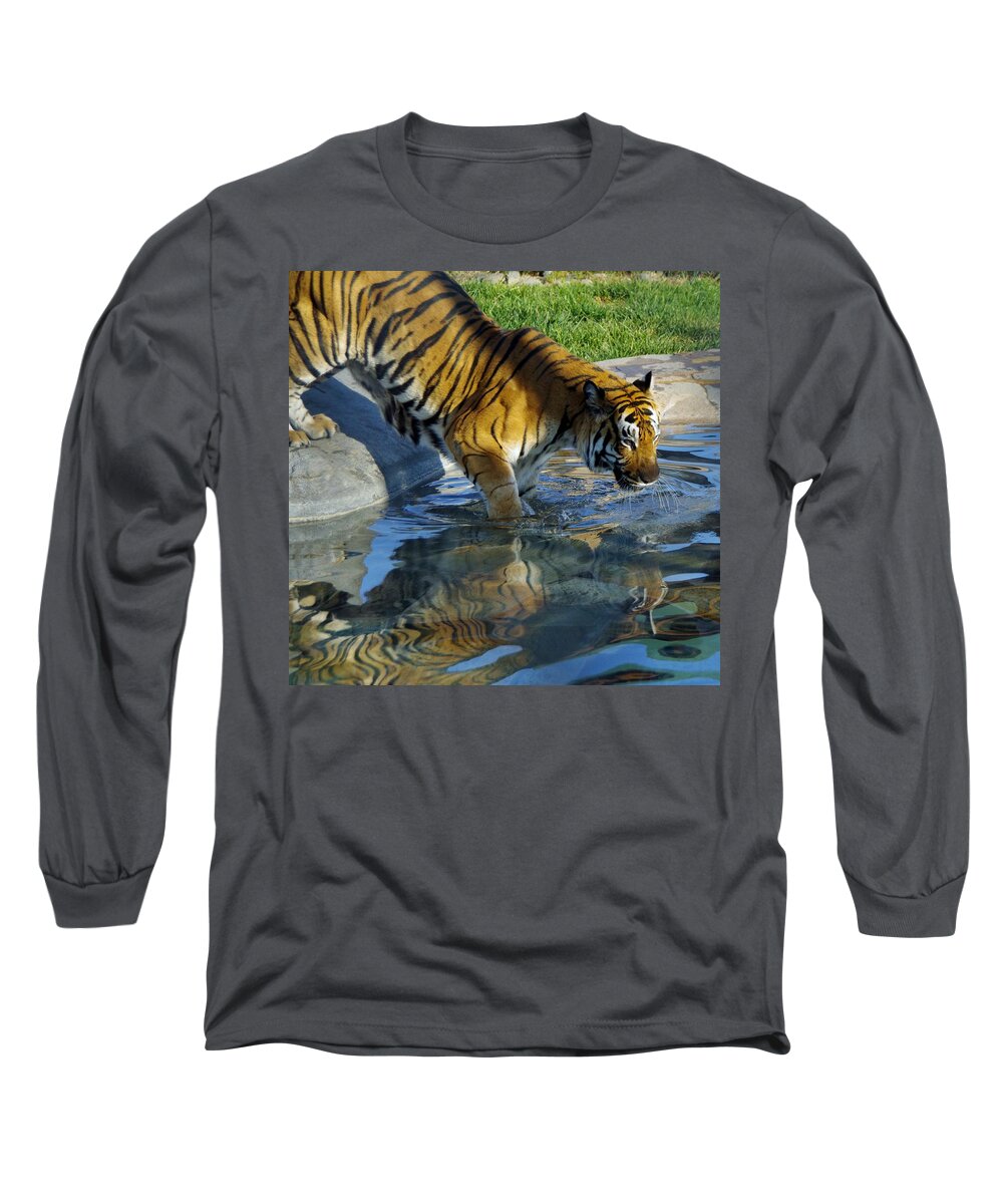 Lions Tigers And Bears Long Sleeve T-Shirt featuring the photograph Tiger 1 by Phyllis Spoor