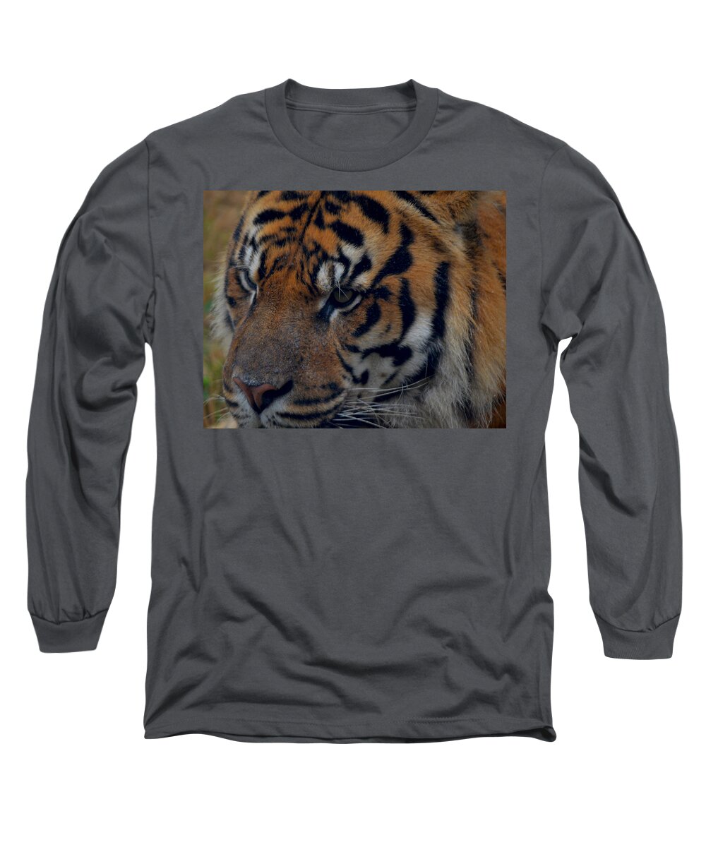 Attentive Long Sleeve T-Shirt featuring the photograph Tiger Face by Maggy Marsh