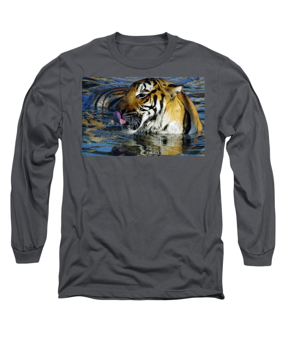 Lions Long Sleeve T-Shirt featuring the photograph Tiger by Phyllis Spoor