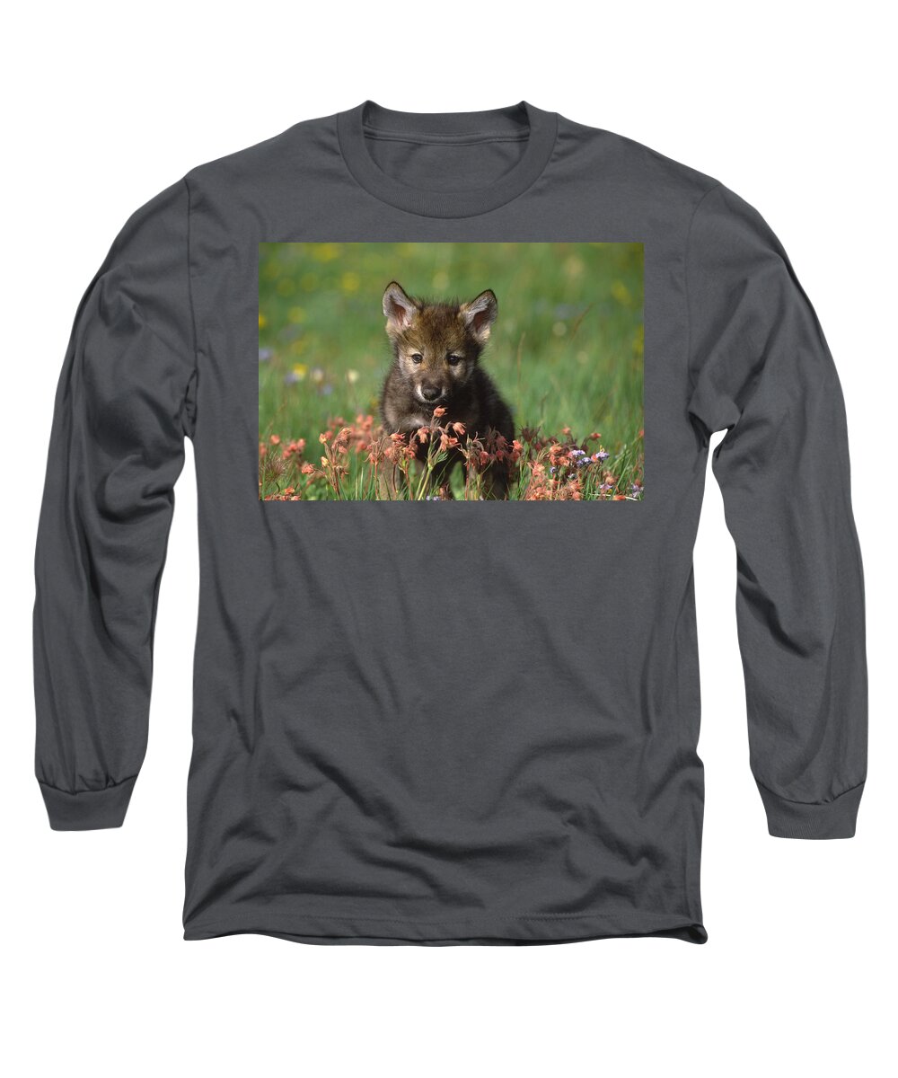 Feb0514 Long Sleeve T-Shirt featuring the photograph Timber Wolf Pup North America by Tom Vezo