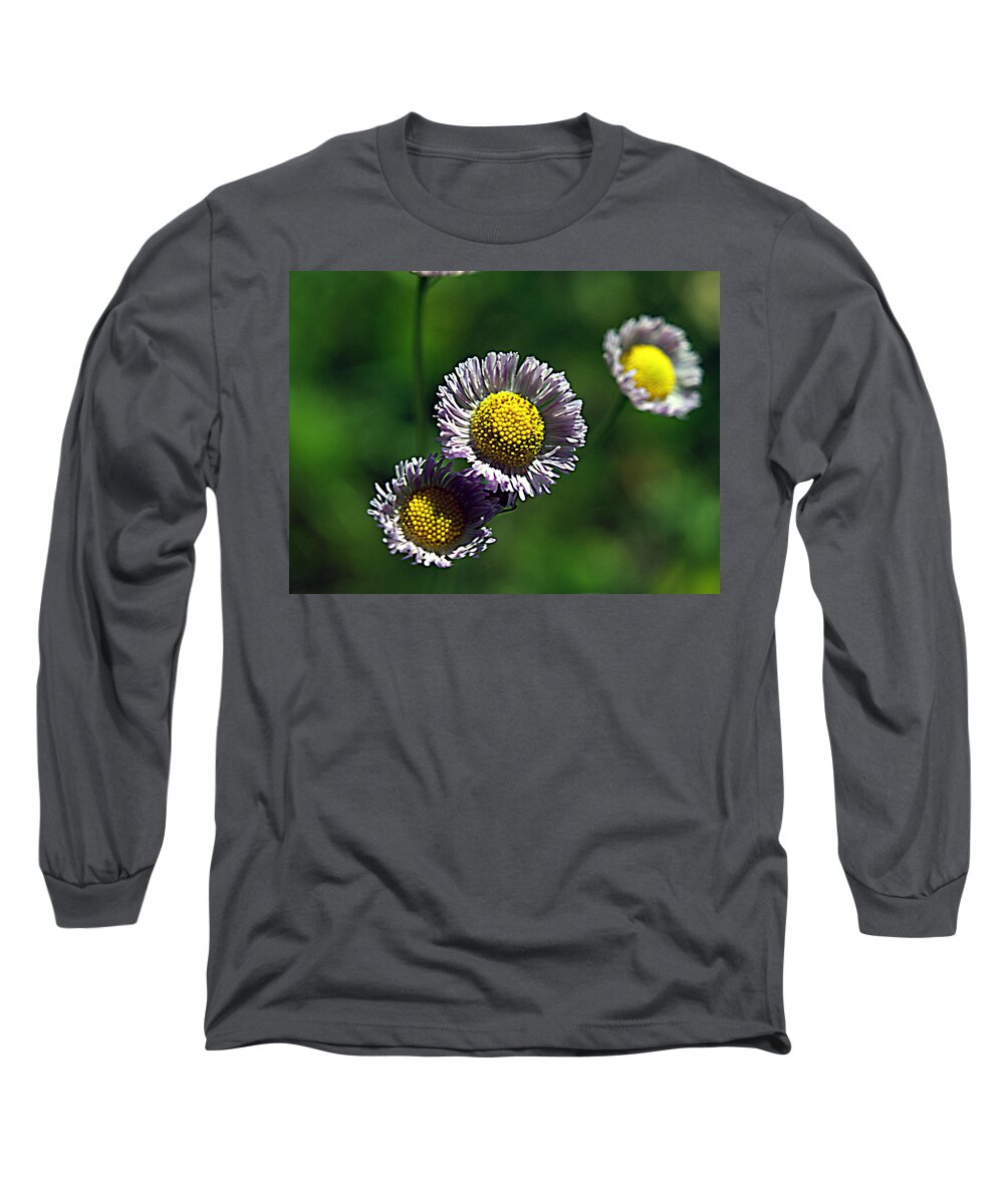Flower Long Sleeve T-Shirt featuring the photograph Tiny Little Weed by Bob Johnson