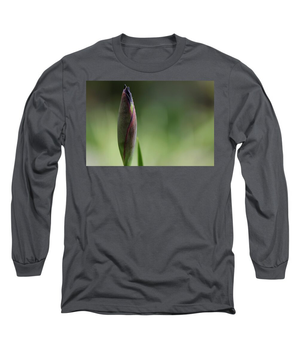 Iris Long Sleeve T-Shirt featuring the photograph Today A Bud - Purple Iris by Debbie Oppermann