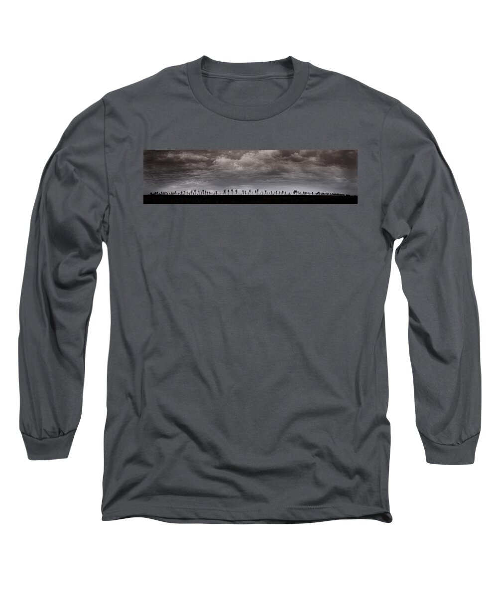 Panorama Long Sleeve T-Shirt featuring the photograph Together We Shall Stand by Sandra Parlow