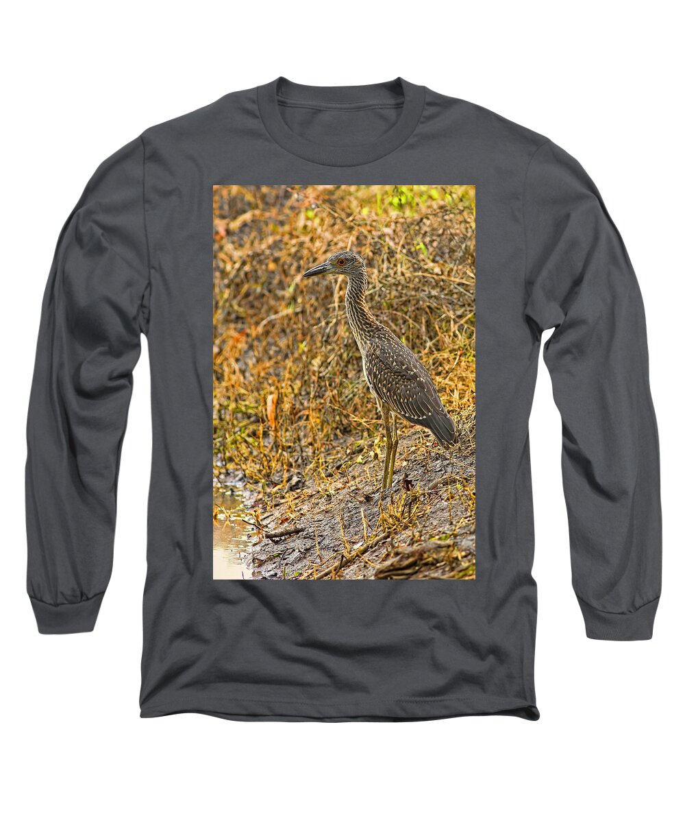 Yellow Long Sleeve T-Shirt featuring the photograph Too Close for Comfort by Gary Holmes