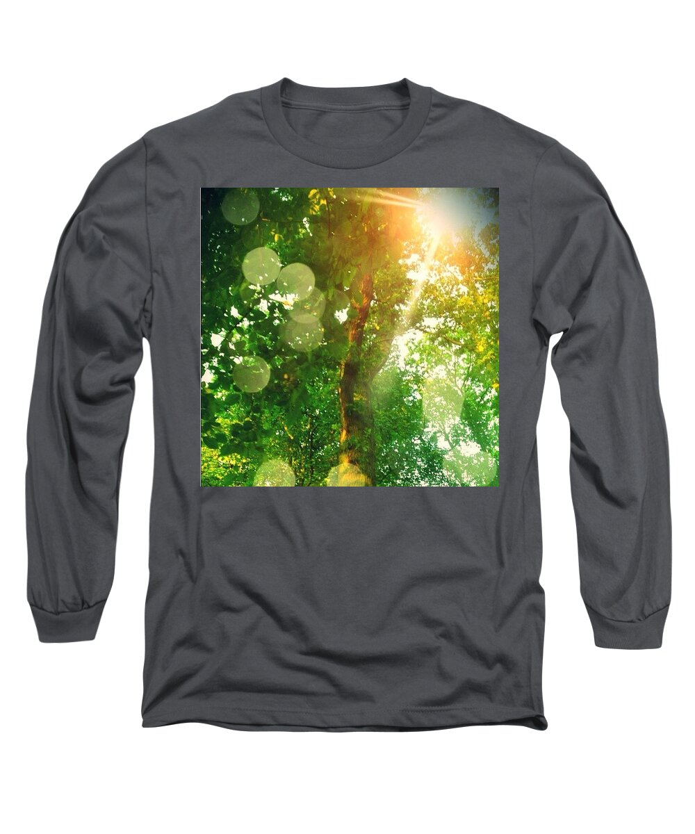 All_shots Long Sleeve T-Shirt featuring the photograph Trees And Sun by Andre Brands