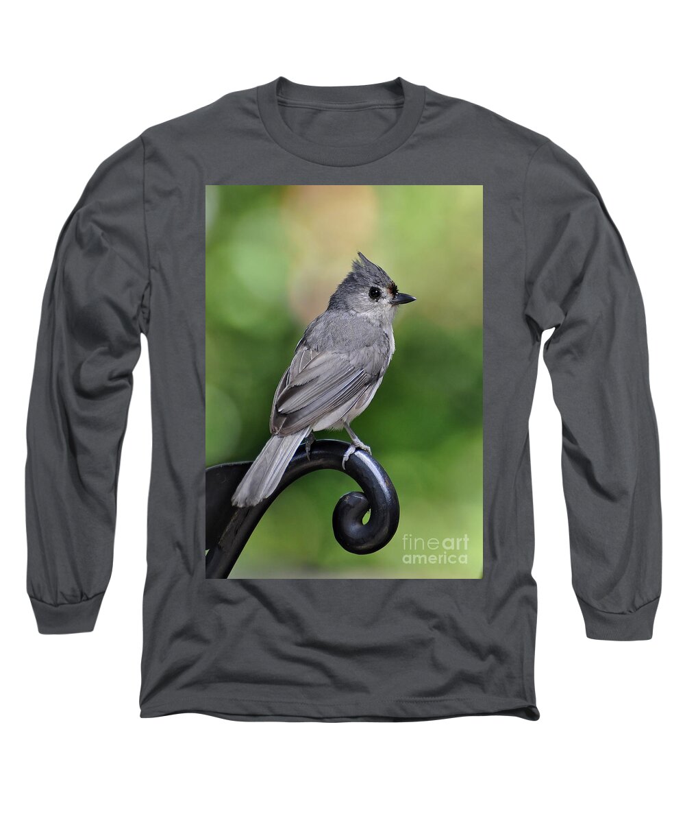 Birds Long Sleeve T-Shirt featuring the photograph Tufted Titmouse by Kathy Baccari