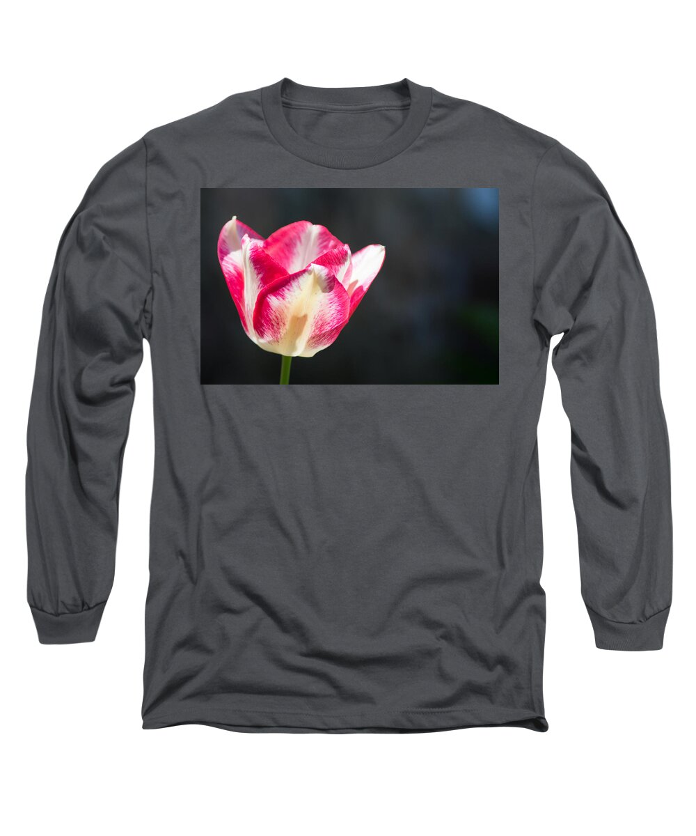 Tulip Long Sleeve T-Shirt featuring the photograph Tulip on Black by Photographic Arts And Design Studio