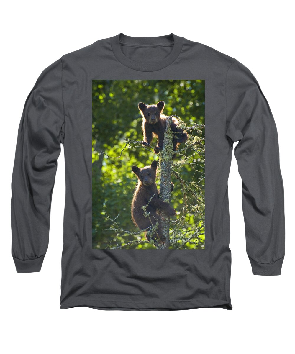 Two Long Sleeve T-Shirt featuring the photograph Two Black Bears by Joan Wallner