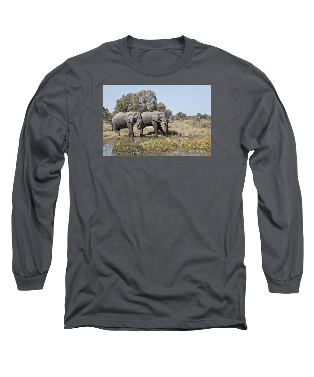 African Elephant Long Sleeve T-Shirt featuring the photograph Two bull African Elephants - Okavango Delta by Liz Leyden
