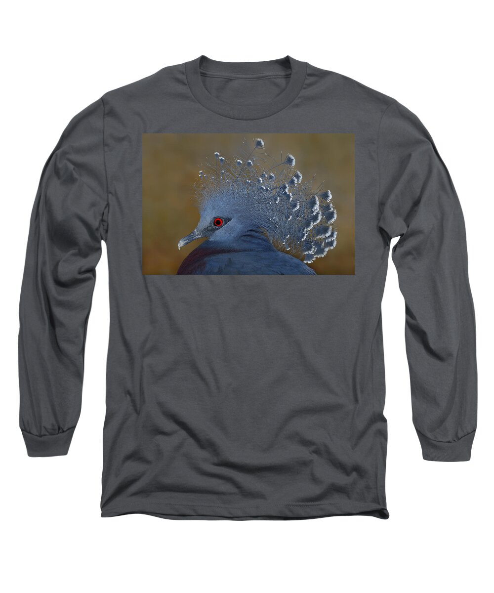 Victoria Crowned Pigeon Long Sleeve T-Shirt featuring the photograph Victoria Crowned Pigeon by Tony Beck