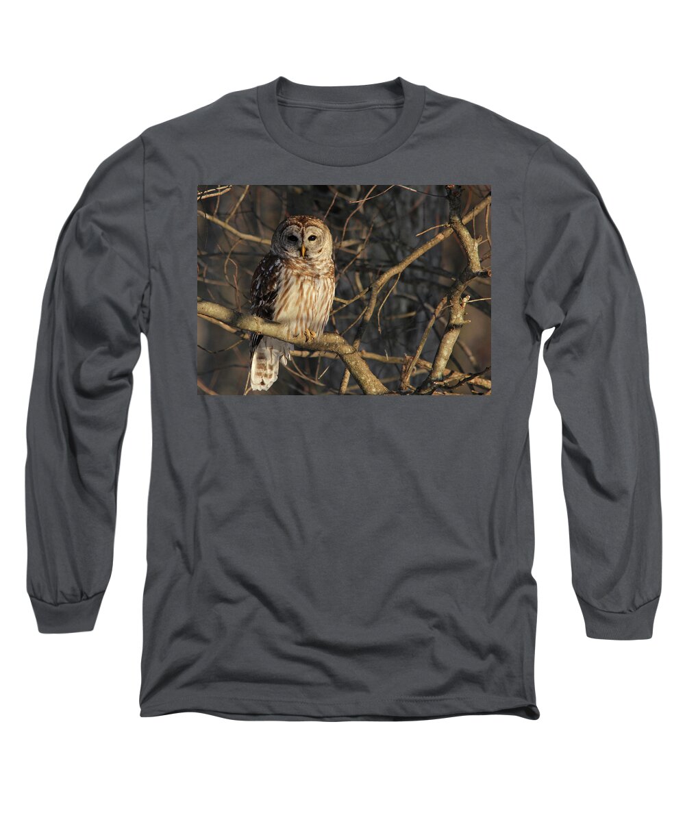 Owl Long Sleeve T-Shirt featuring the photograph Waiting for Supper by Lori Deiter