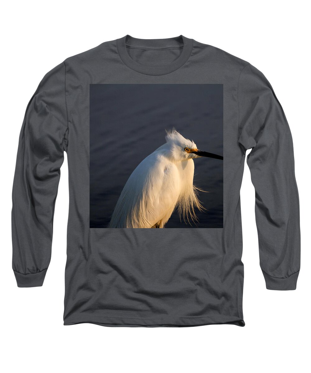 Egret Long Sleeve T-Shirt featuring the photograph Warming Sunrays by Allan Levin