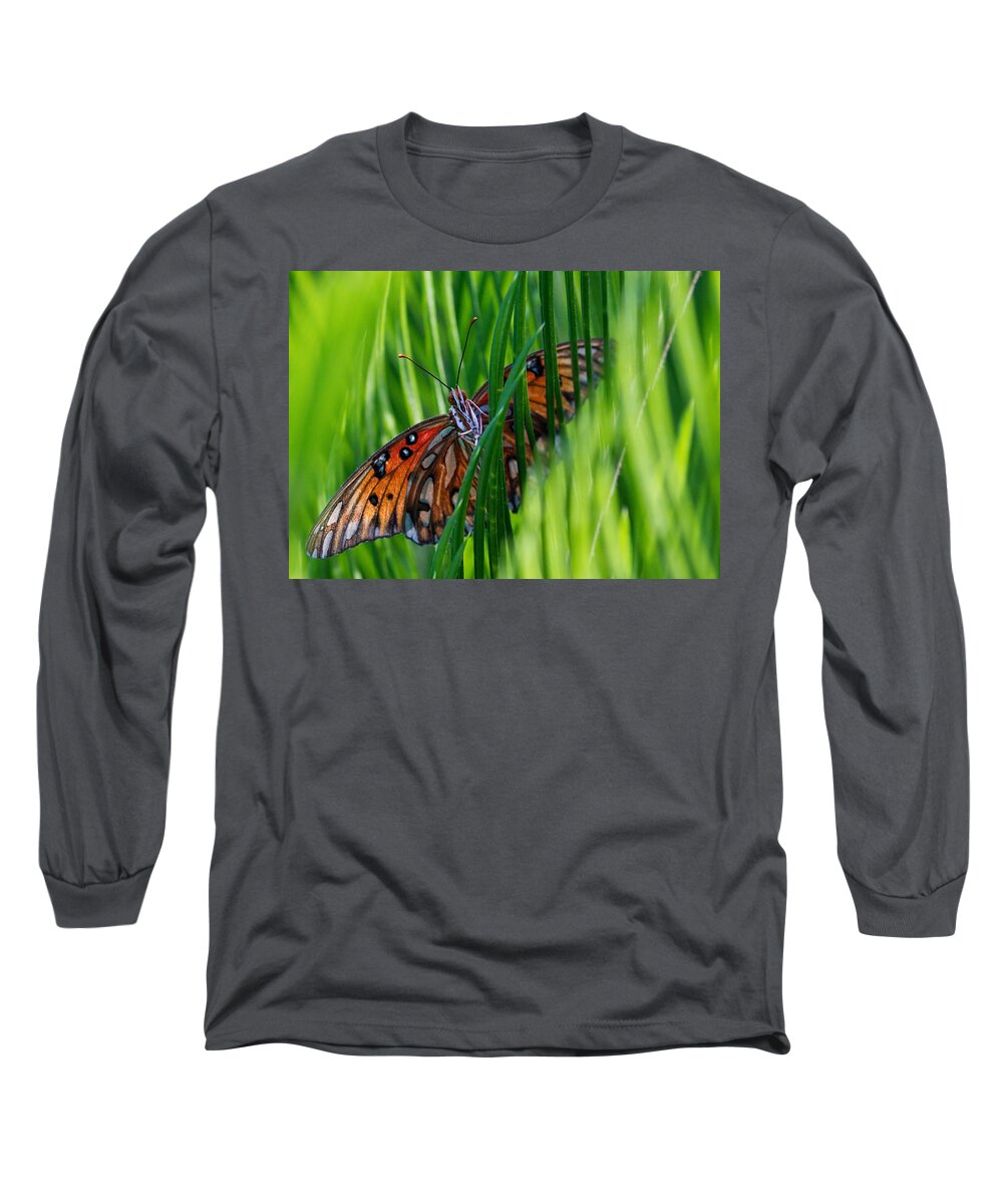 Butterfly.insect.sago Long Sleeve T-Shirt featuring the photograph Watching Me by Farol Tomson