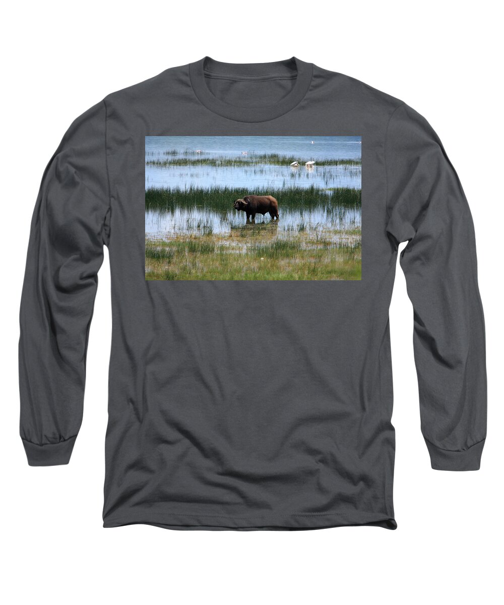 Africa Long Sleeve T-Shirt featuring the photograph Water Buffalo at Lake Nakuru by Aidan Moran