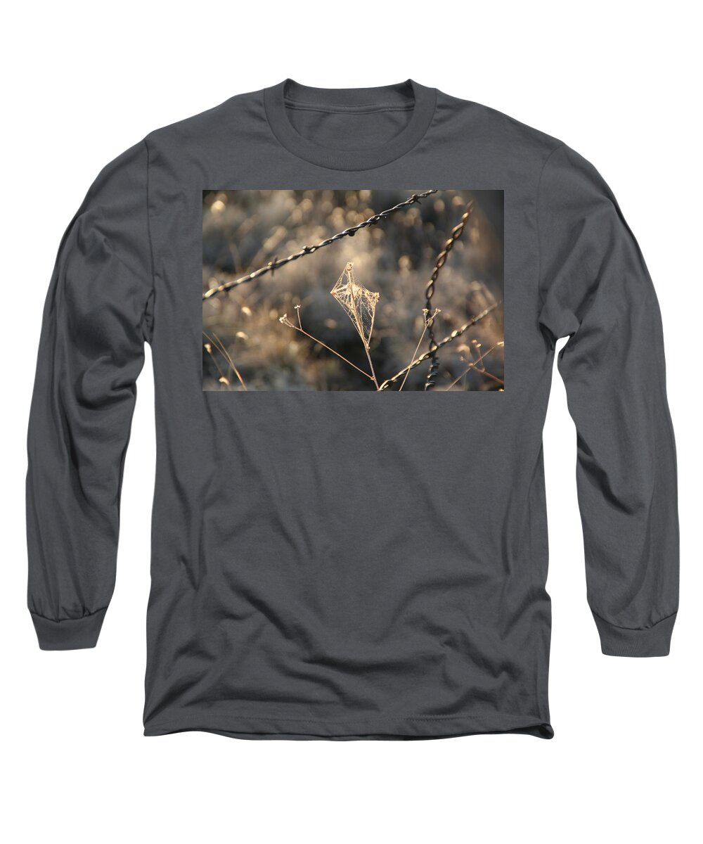 Web Long Sleeve T-Shirt featuring the photograph web by David S Reynolds