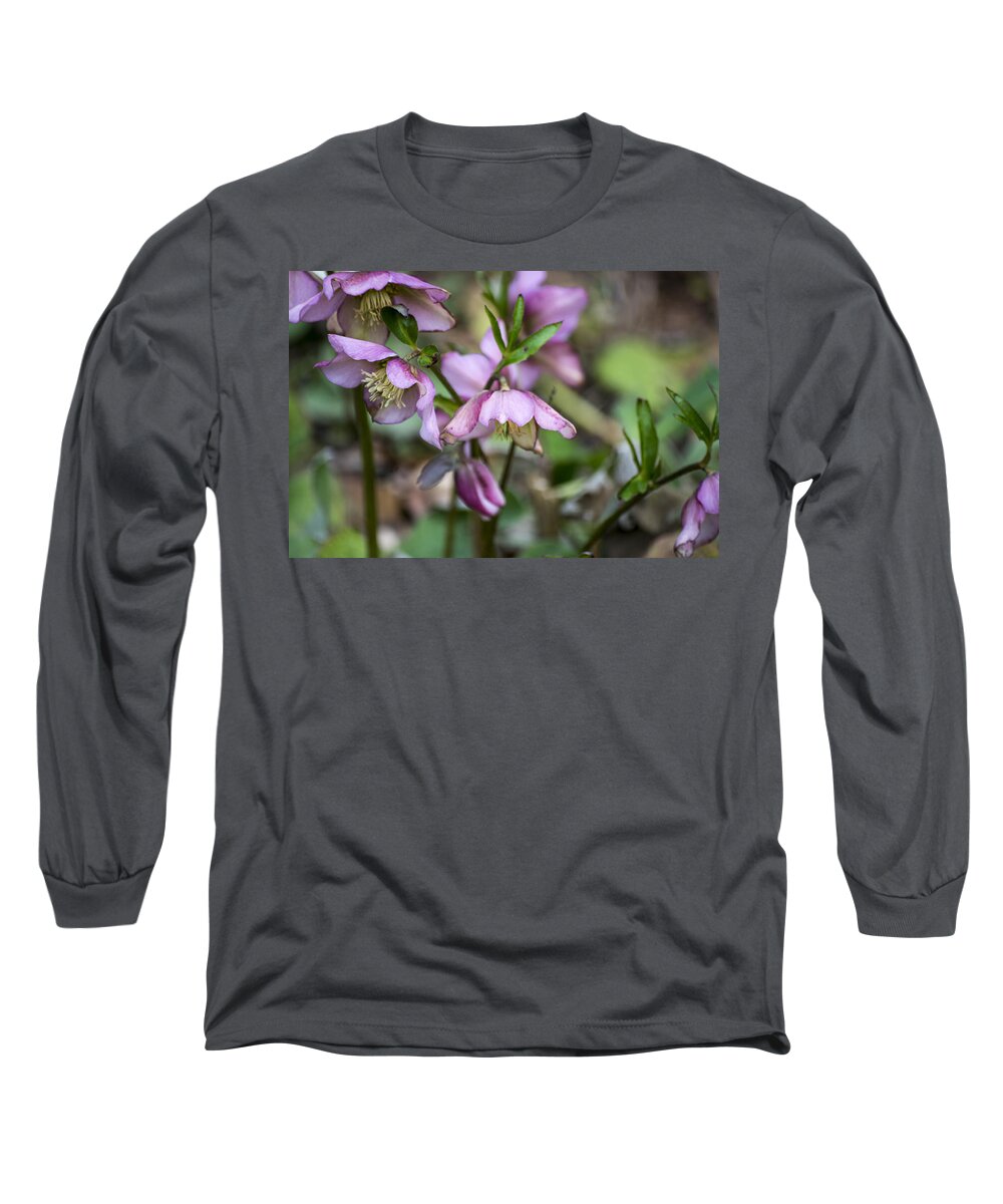 Pink Long Sleeve T-Shirt featuring the photograph Welcome Spring Flowers by Spikey Mouse Photography