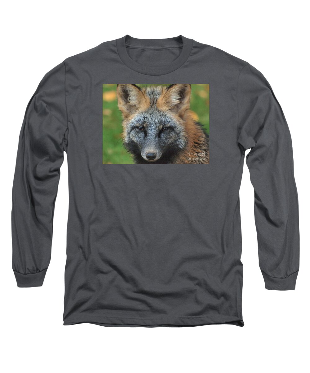 Fox Long Sleeve T-Shirt featuring the photograph What The Fox Said by Vivian Martin