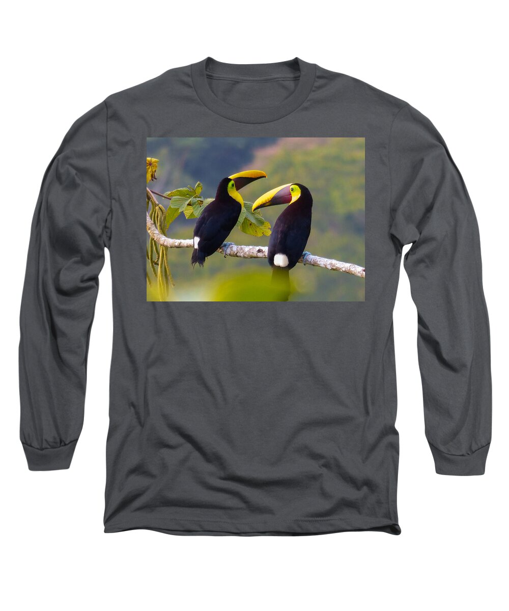 Yellow-throated Toucan Long Sleeve T-Shirt featuring the photograph Two Toucans by Jurgen Lorenzen