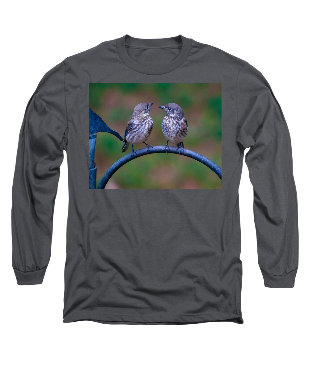 Bluebird Long Sleeve T-Shirt featuring the photograph When's Dad Coming Back? by Robert L Jackson