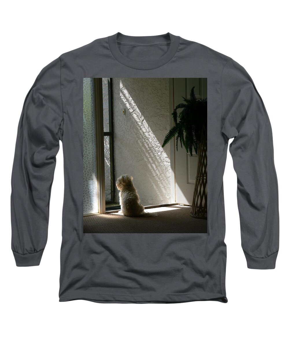 Dogs Long Sleeve T-Shirt featuring the photograph Where's Dad by Rosalie Scanlon