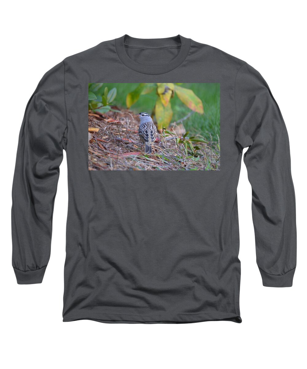 Nature Long Sleeve T-Shirt featuring the photograph White-crowned Sparrow by James Petersen