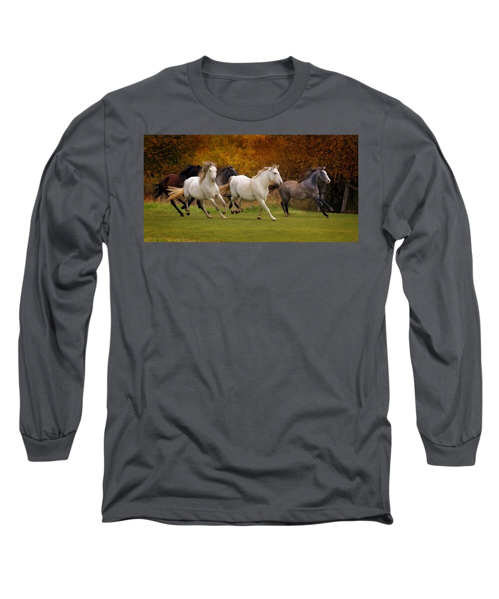 White Horse Vale Lipizzans Long Sleeve T-Shirt featuring the photograph White Horse Vale Lipizzans by Wes and Dotty Weber