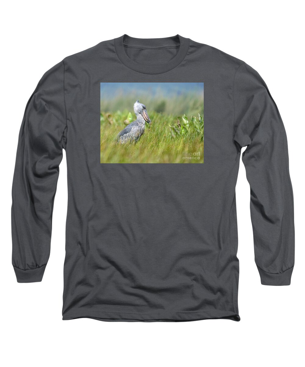 Shoebill Long Sleeve T-Shirt featuring the photograph Wild Shoebill Balaeniceps rex by Liz Leyden