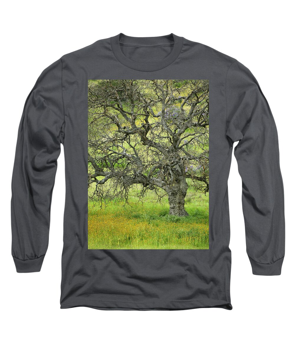 Wildflowers Long Sleeve T-Shirt featuring the photograph Wildflowers Under Oak Tree - Spring in Central California by Ram Vasudev