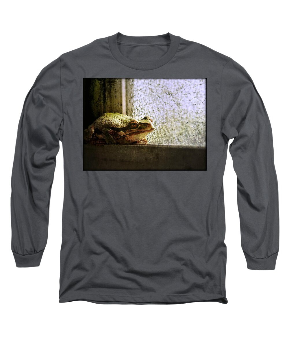 Frog Long Sleeve T-Shirt featuring the photograph Windowsill Visitor by Micki Findlay