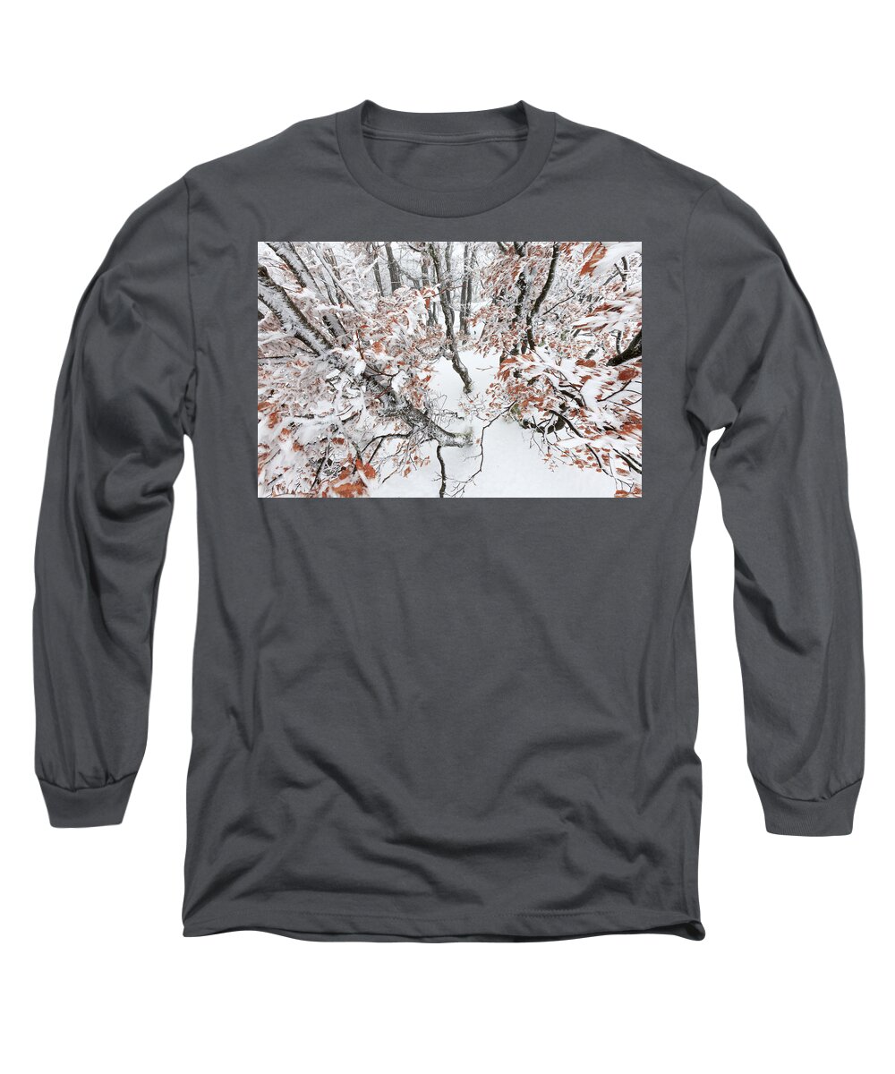 Heike Odermatt Long Sleeve T-Shirt featuring the photograph Winter European Beech Forest In Vosges by Heike Odermatt