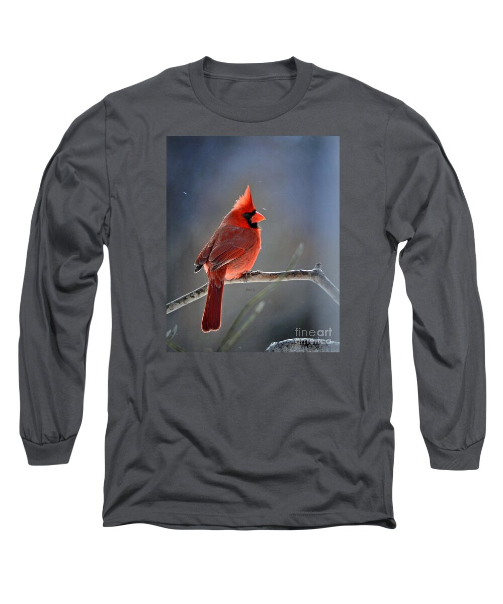 Nature Long Sleeve T-Shirt featuring the photograph Winter Morning Cardinal by Nava Thompson