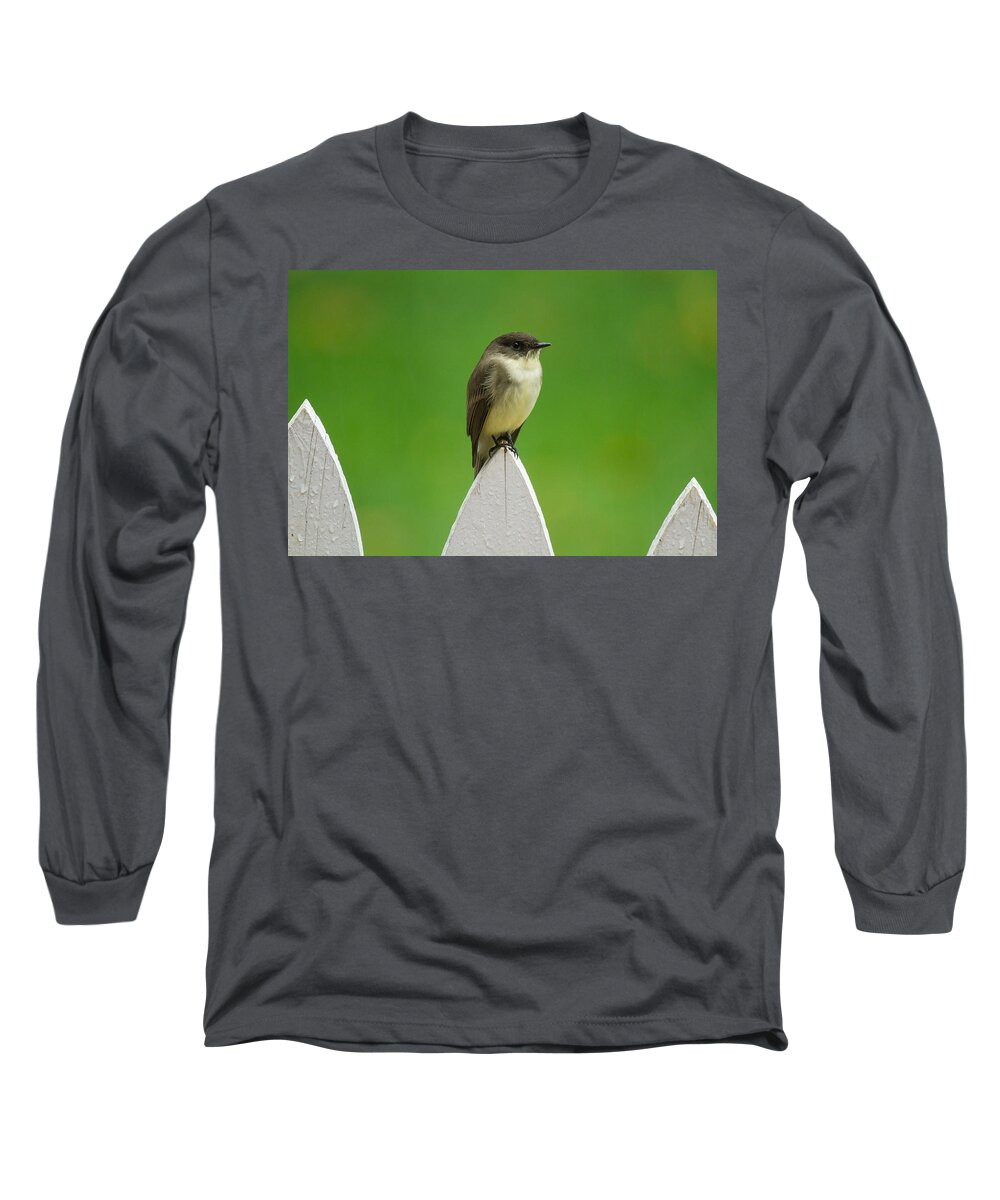Eastern Phoebe Long Sleeve T-Shirt featuring the photograph Wish I was the twitter bird by Robert L Jackson