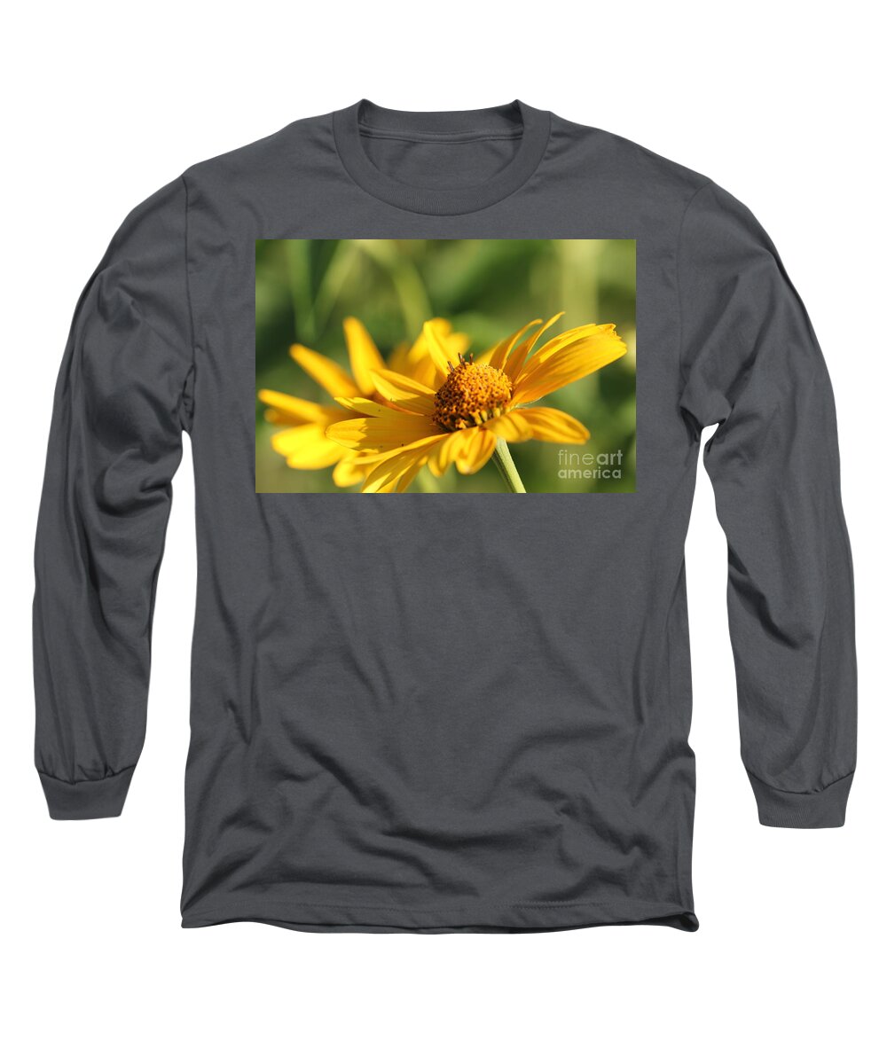 Blossom Long Sleeve T-Shirt featuring the photograph Yellow Flower by Amanda Mohler