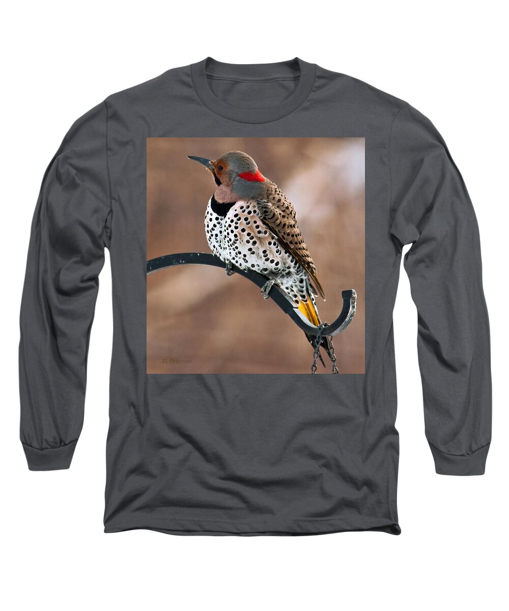 Yellow Shafted Northern Flicker Long Sleeve T-Shirt featuring the photograph Yellow-shafted Northern Flicker by Ed Peterson