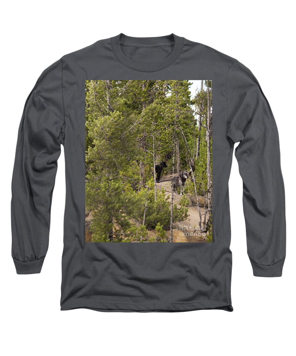 Wolves Long Sleeve T-Shirt featuring the photograph Yellowstone Wolves by Belinda Greb