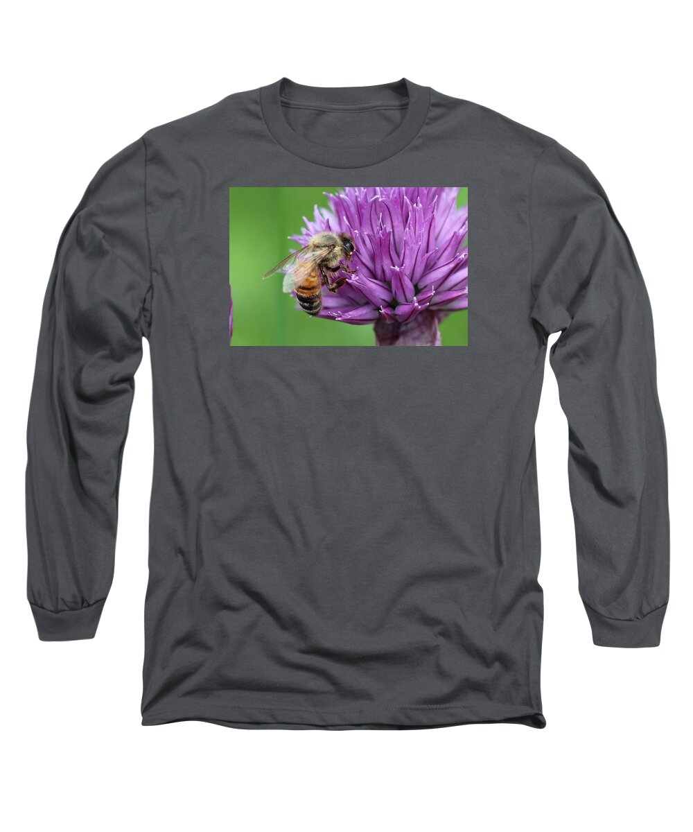 Honeybee Long Sleeve T-Shirt featuring the photograph Yummm Chive Nectar by Lucinda VanVleck