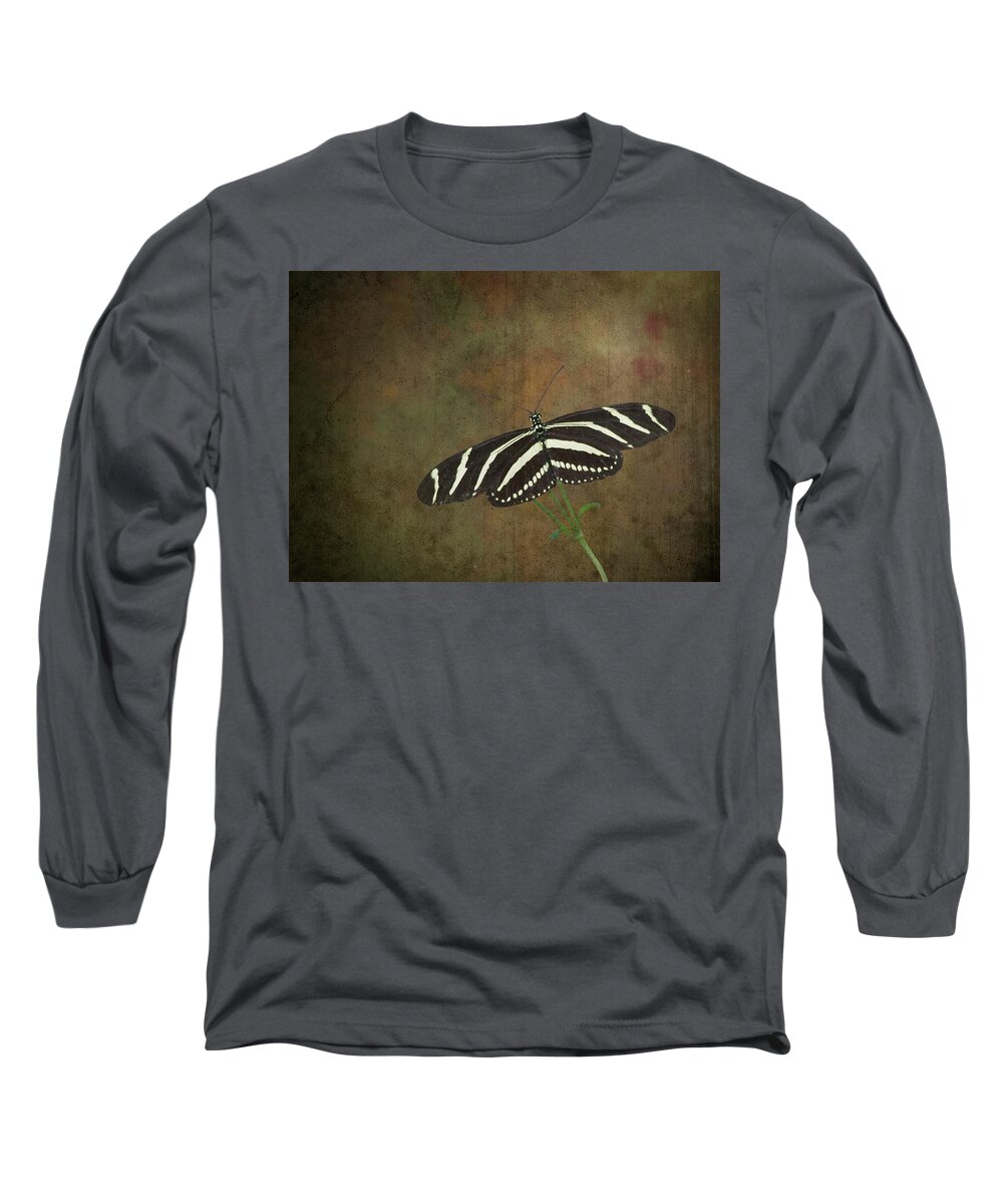 Zebra Long Sleeve T-Shirt featuring the photograph Zebra Longwing Butterfly-1 by Rudy Umans