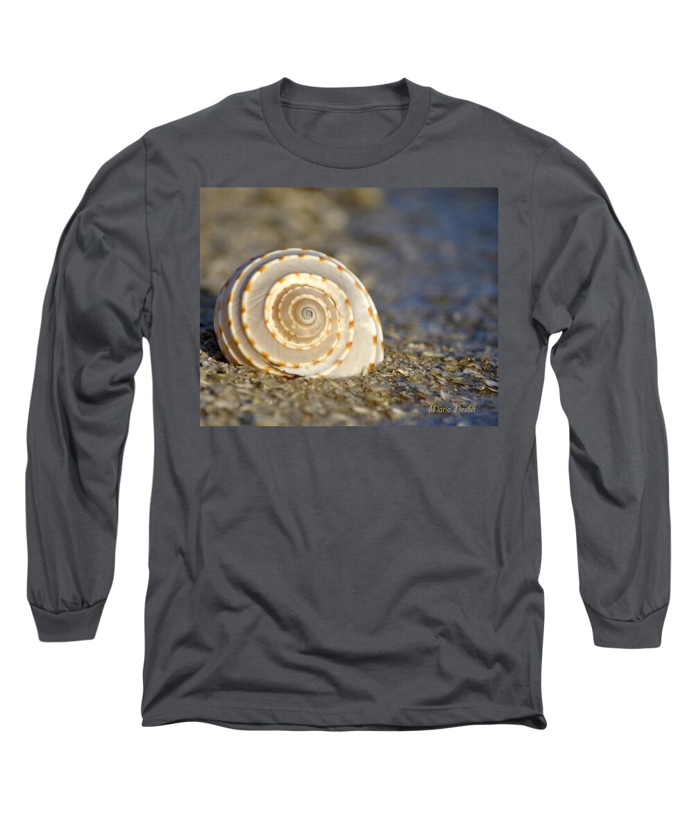 Seashells Long Sleeve T-Shirt featuring the photograph Resonance of the Sea #1 by Maria Nesbit