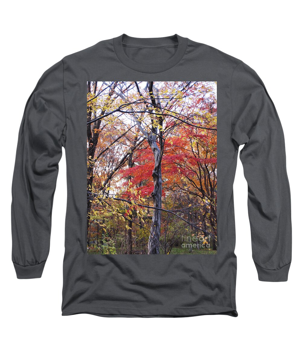 Red Long Sleeve T-Shirt featuring the photograph Autumn #2 by Eena Bo