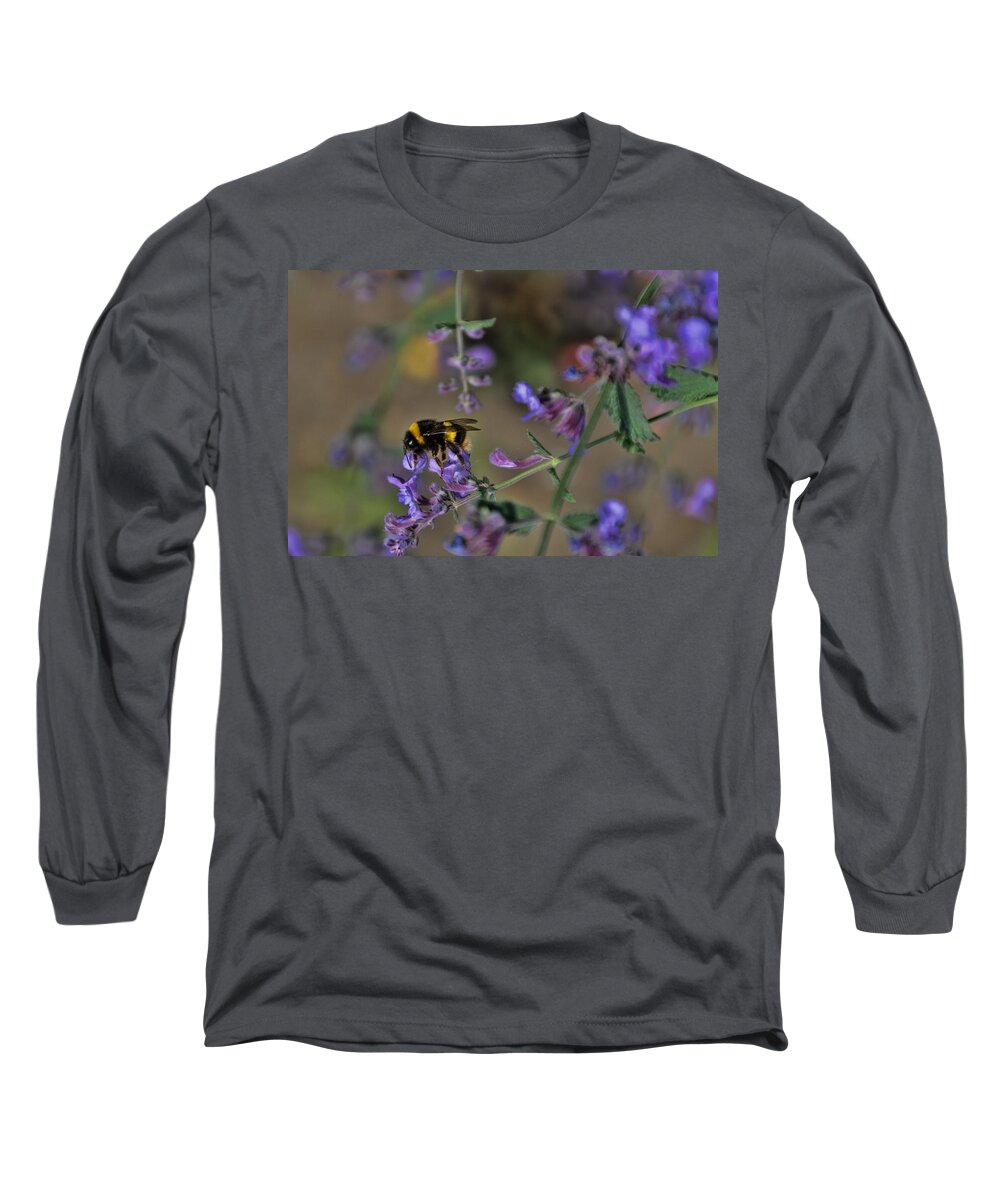 Scotland Long Sleeve T-Shirt featuring the photograph Bee #2 by David Gleeson