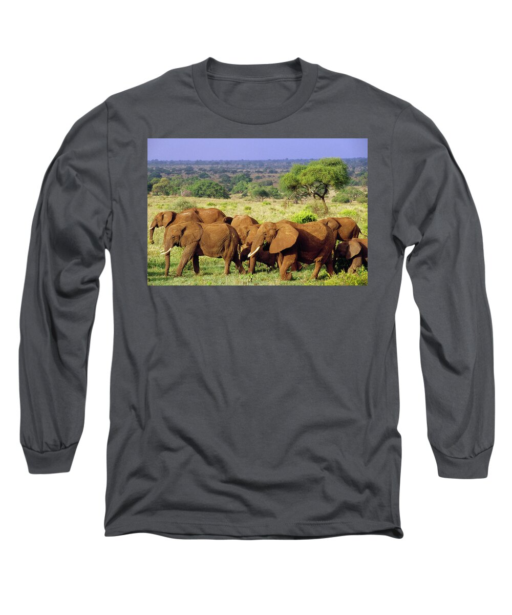 Mp Long Sleeve T-Shirt featuring the photograph African Elephant Loxodonta Africana #4 by Gerry Ellis