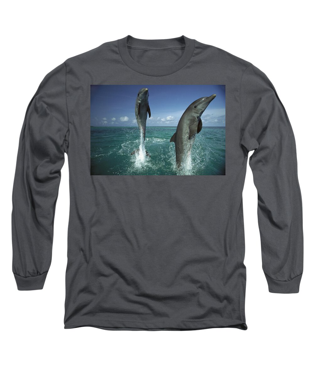 Mp Long Sleeve T-Shirt featuring the photograph Bottlenose Dolphin Tursiops Truncatus #8 by Konrad Wothe